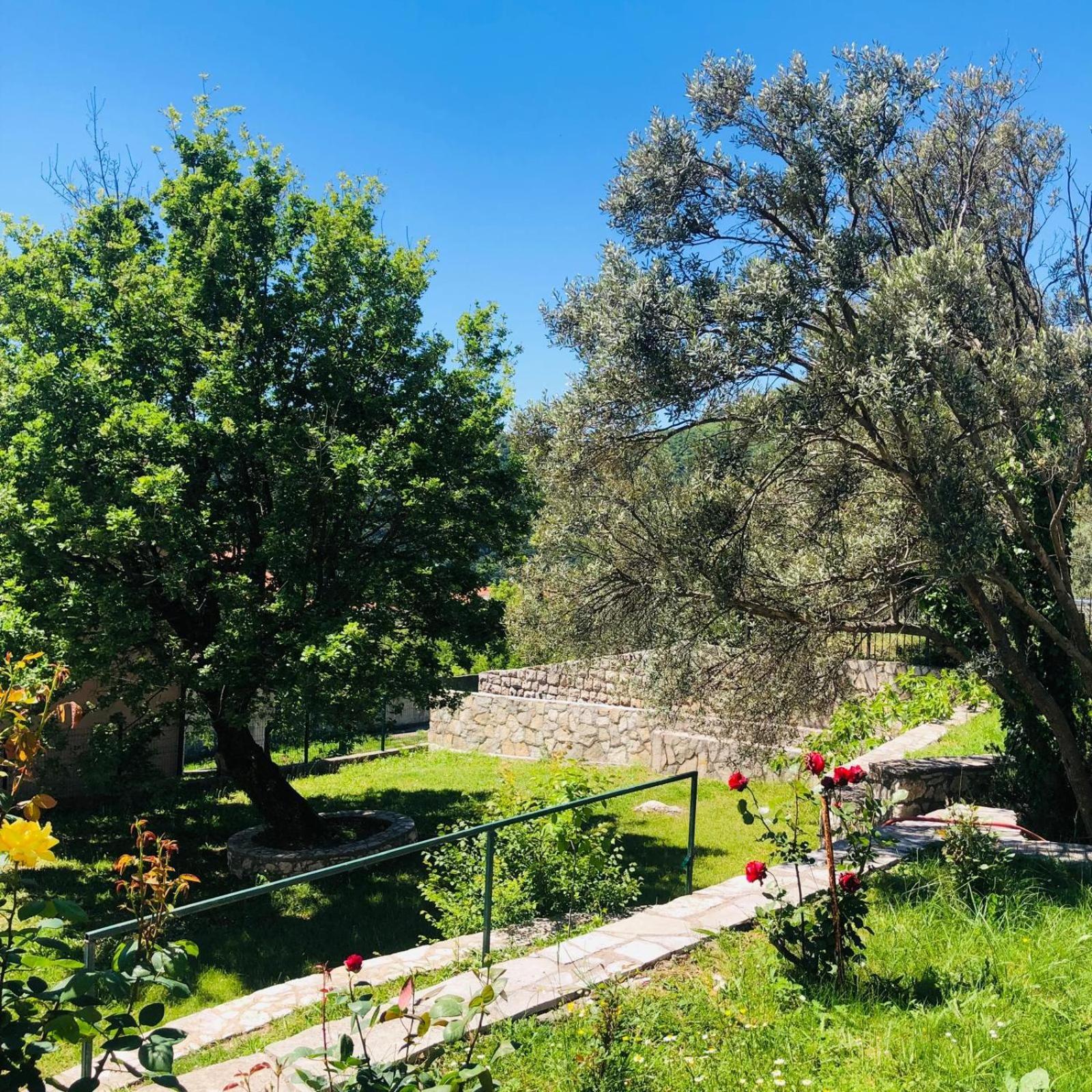 Vila Oaza Markovici Budua Esterno foto